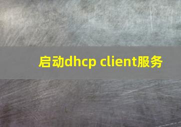 启动dhcp client服务